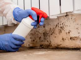 Best Air Quality Testing for Mold Spores  in USA